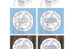 CCBA logo Redesign options